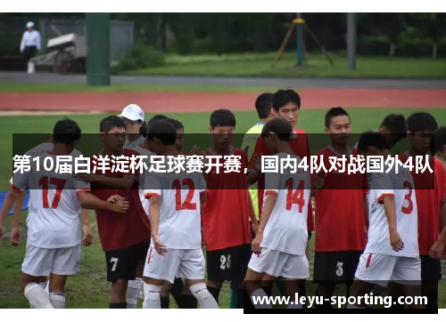第10届白洋淀杯足球赛开赛，国内4队对战国外4队